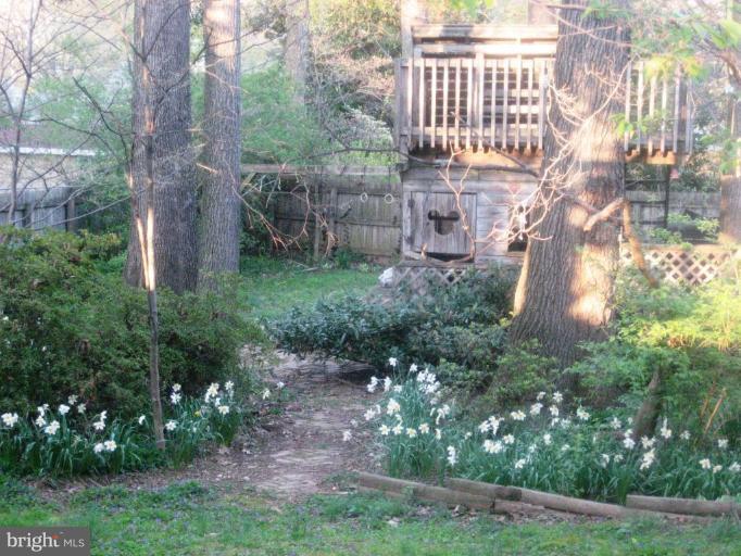 3813 Ridge Road Annandale, VA 22003 - Photo 24 of 30 Garden #2