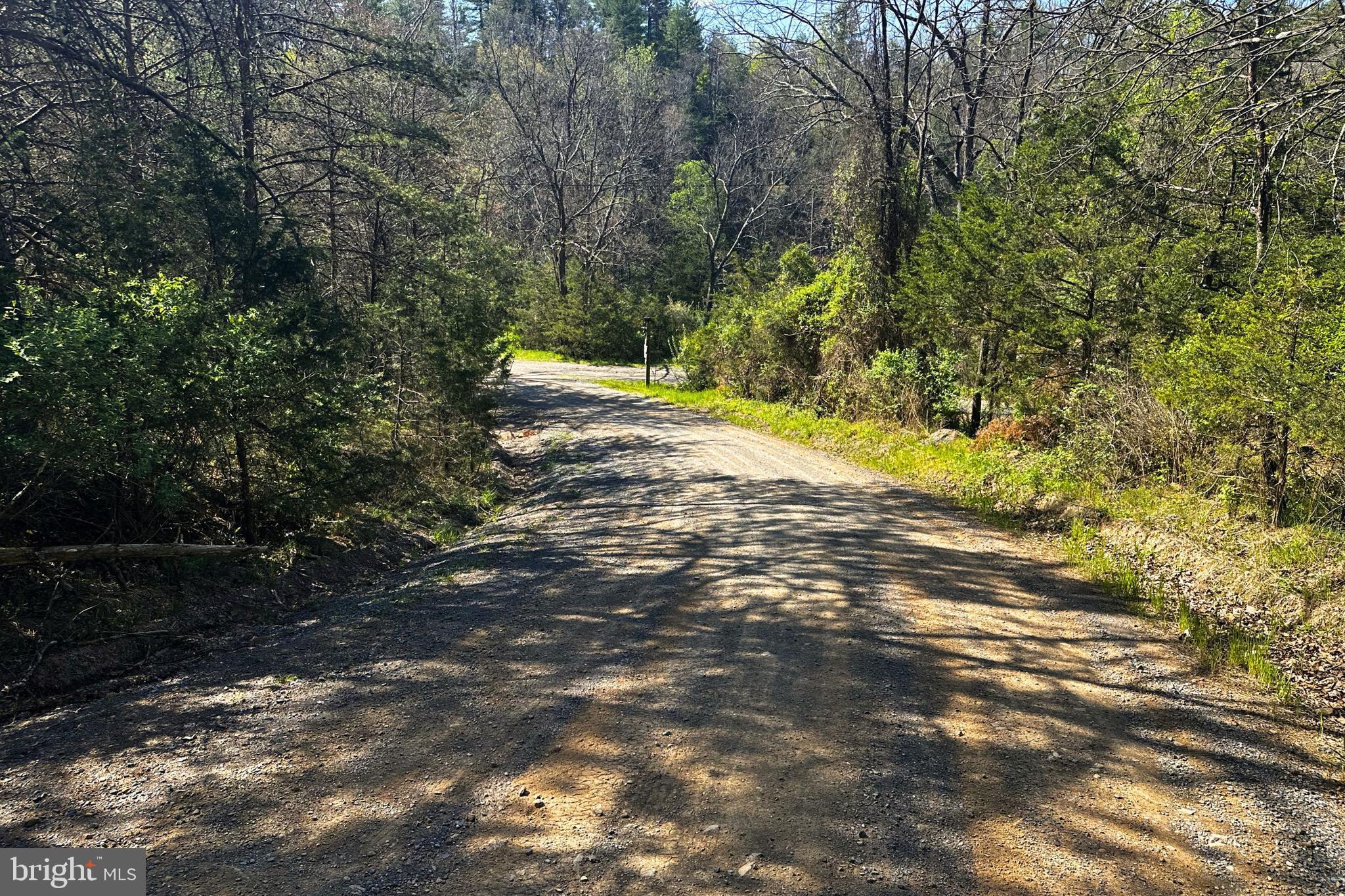 Lot 1 Deep Run Hollow Road Delray, WV 26714 - Photo 6 of 26