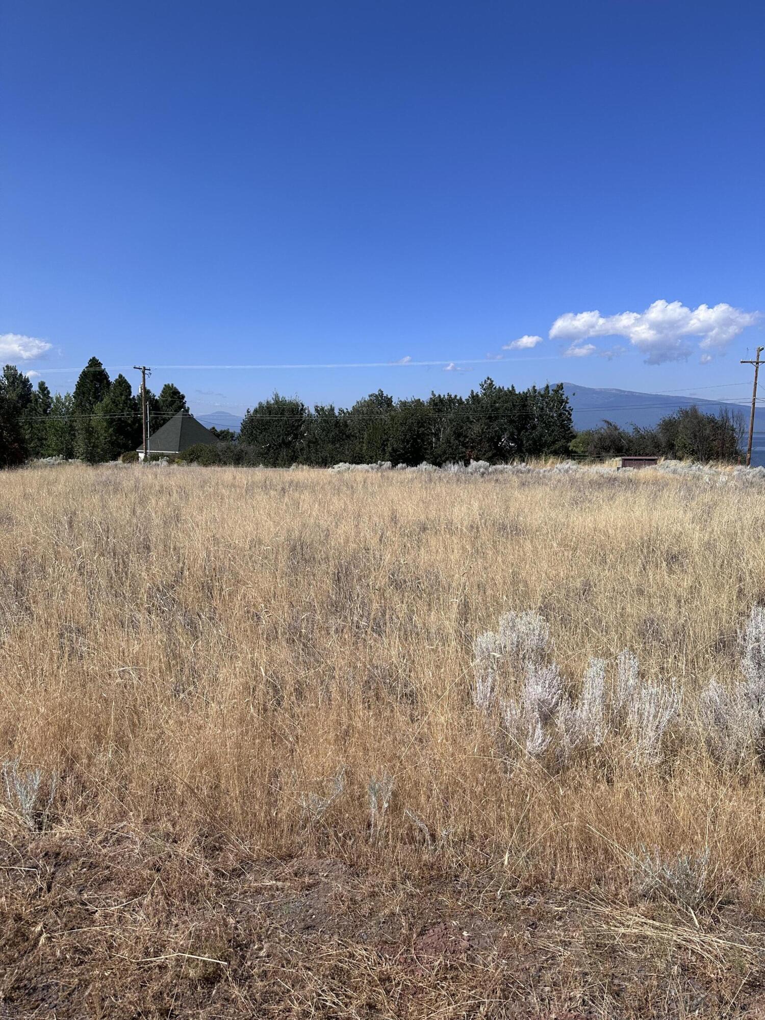 1-2 Golden Meadow Road Chiloquin, OR 97624 - Photo 2 of 8 View of property