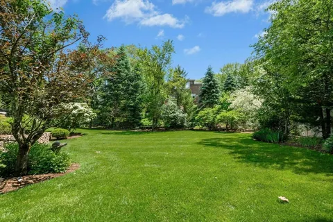 a view of a grassy field with trees