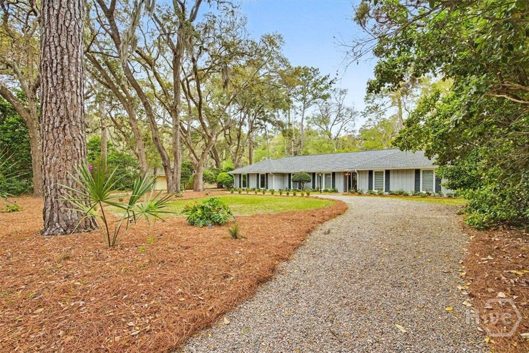 113 Mercer Road Savannah, GA 31411 - Photo 49 of 63 Gallery Image 49