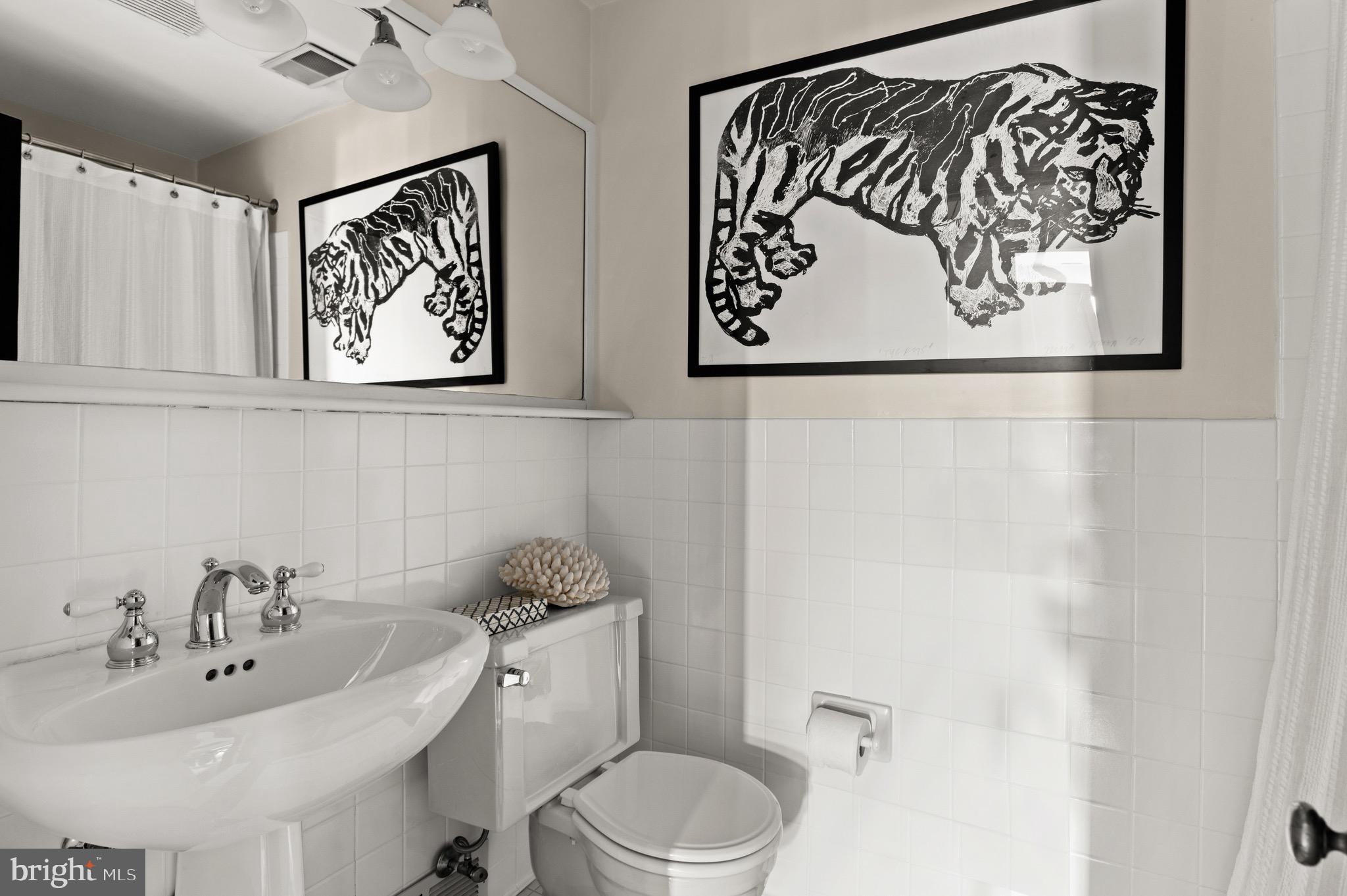 2215 49th Street Northwest Washington, DC 20007 - Photo 39 of 56