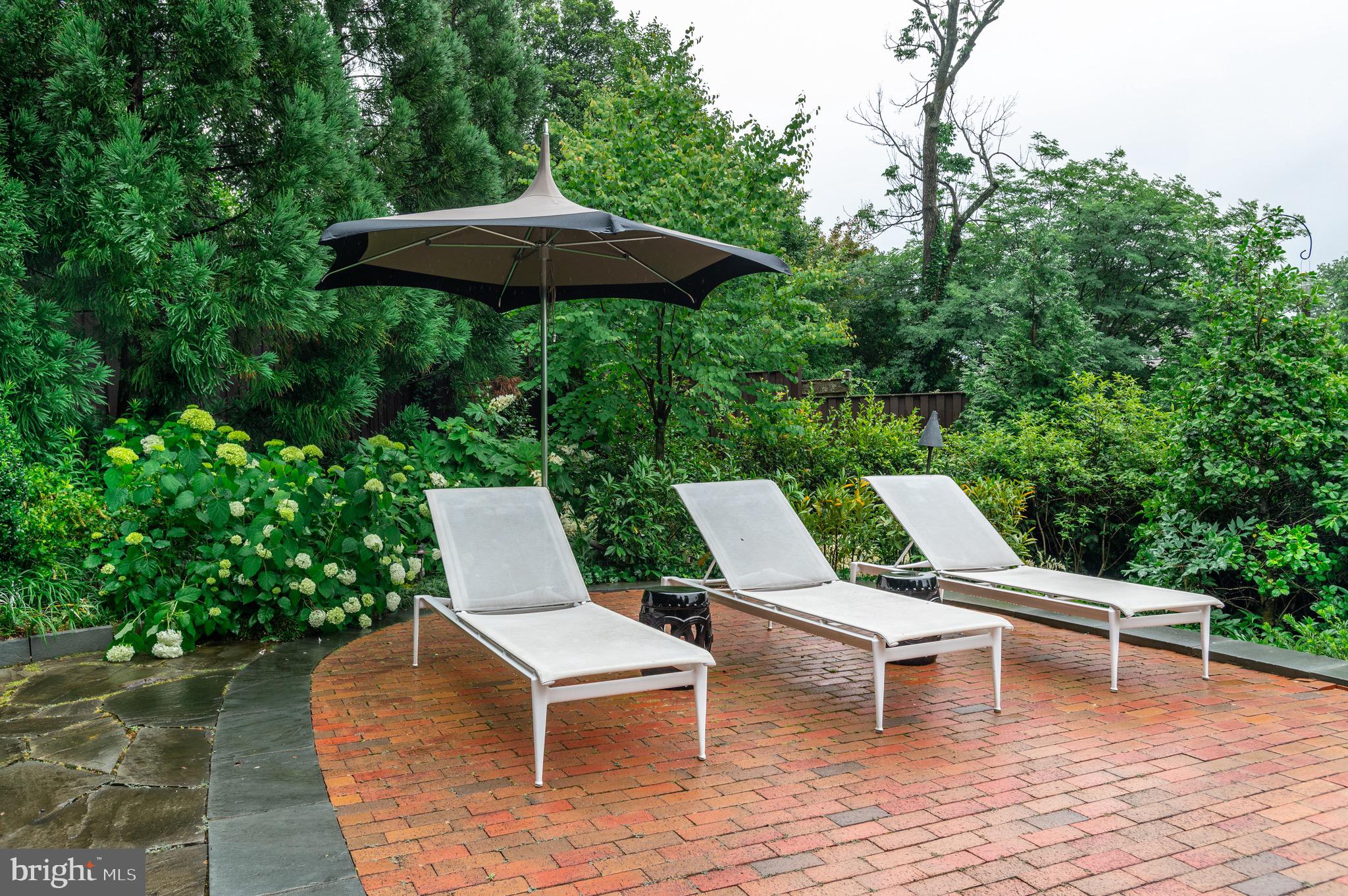 2215 49th Street Northwest Washington, DC 20007 - Photo 55 of 56