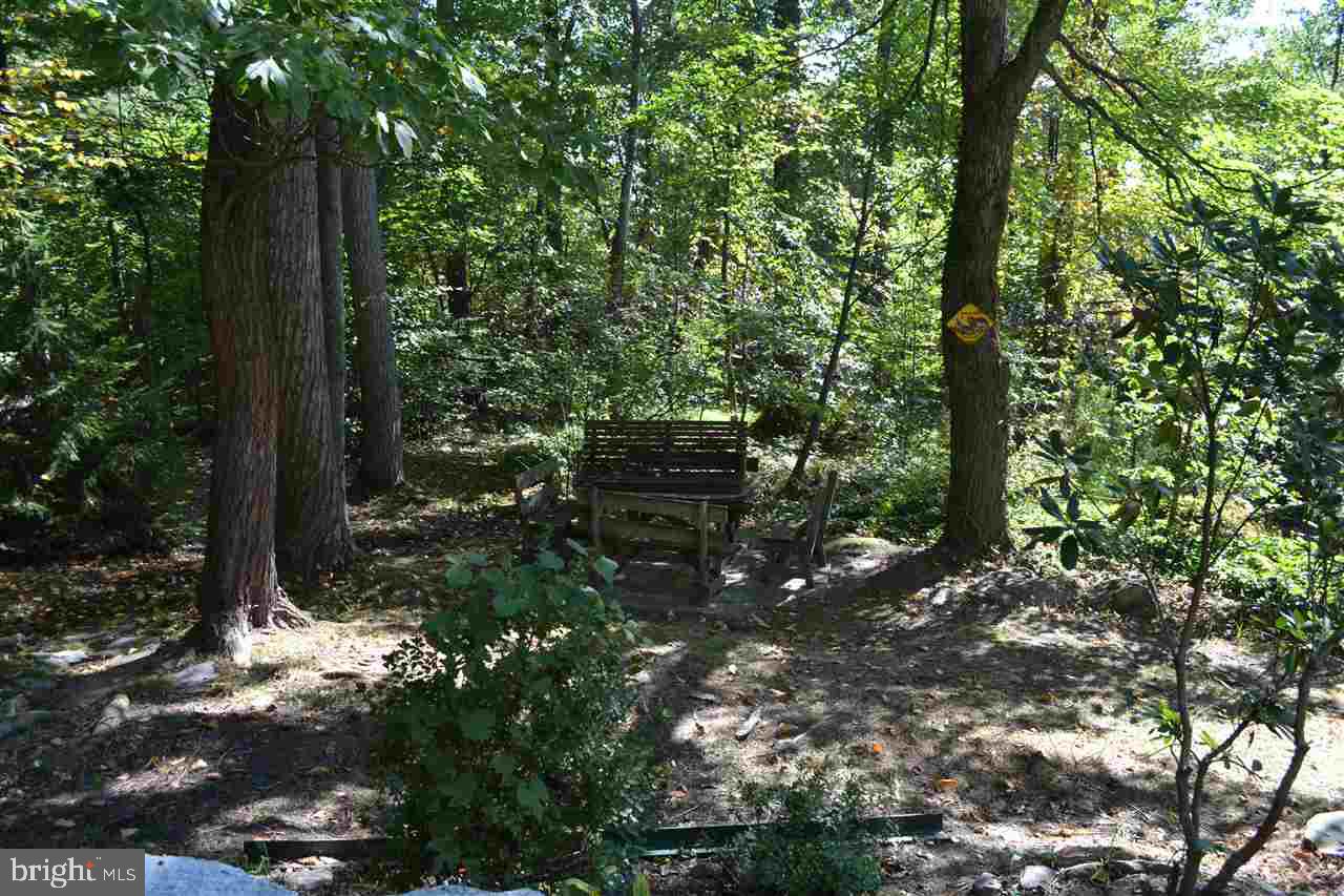624 Mountain Road Liverpool, PA 17045 - Photo 21 of 25 Gallery Image 21