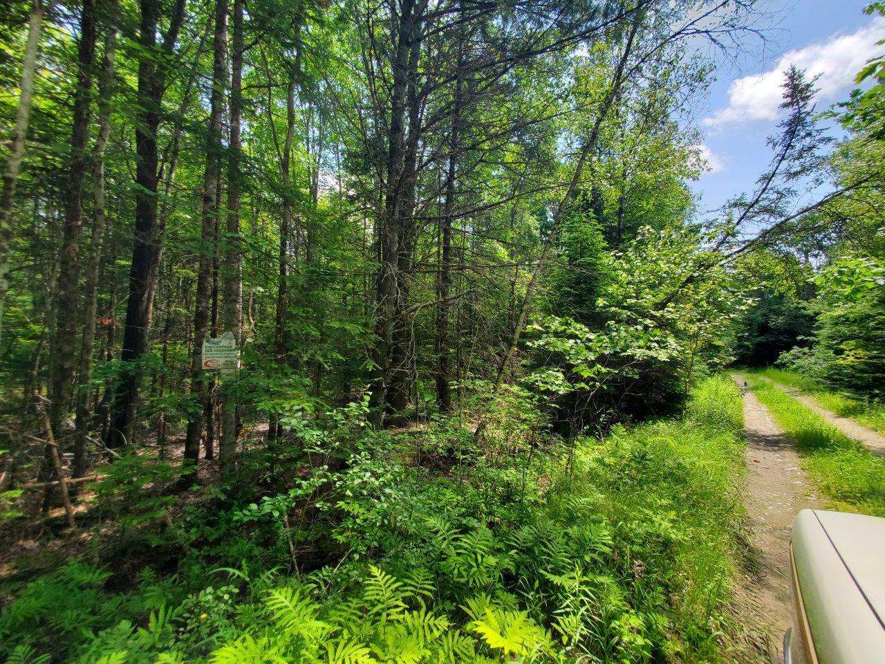 0 Morgan Road Burnham, ME 04922 - Photo 11 of 69 20250617_123825