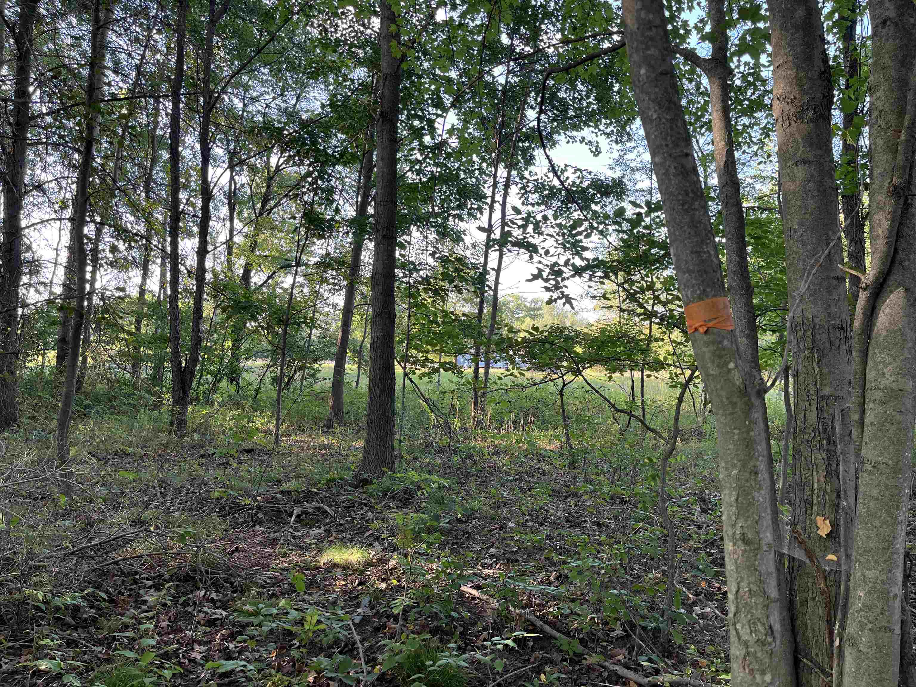 4809 West Isabella Road Shepherd, MI 48883 - Photo 39 of 42