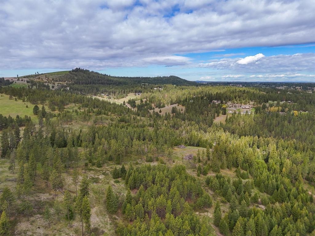 22-xx East Miller Road Spangle, WA 99031 - Photo 12 of 31