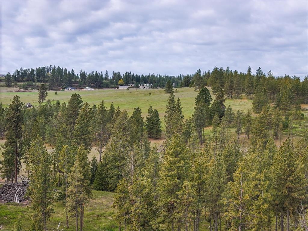 22-xx East Miller Road Spangle, WA 99031 - Photo 16 of 31