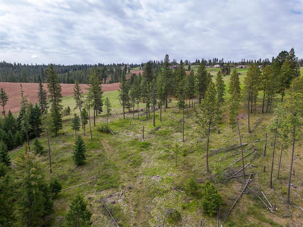 22-xx East Miller Road Spangle, WA 99031 - Photo 17 of 31