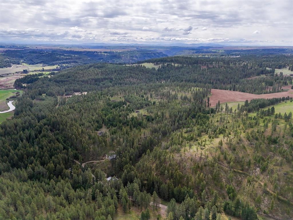 22-xx East Miller Road Spangle, WA 99031 - Photo 18 of 31