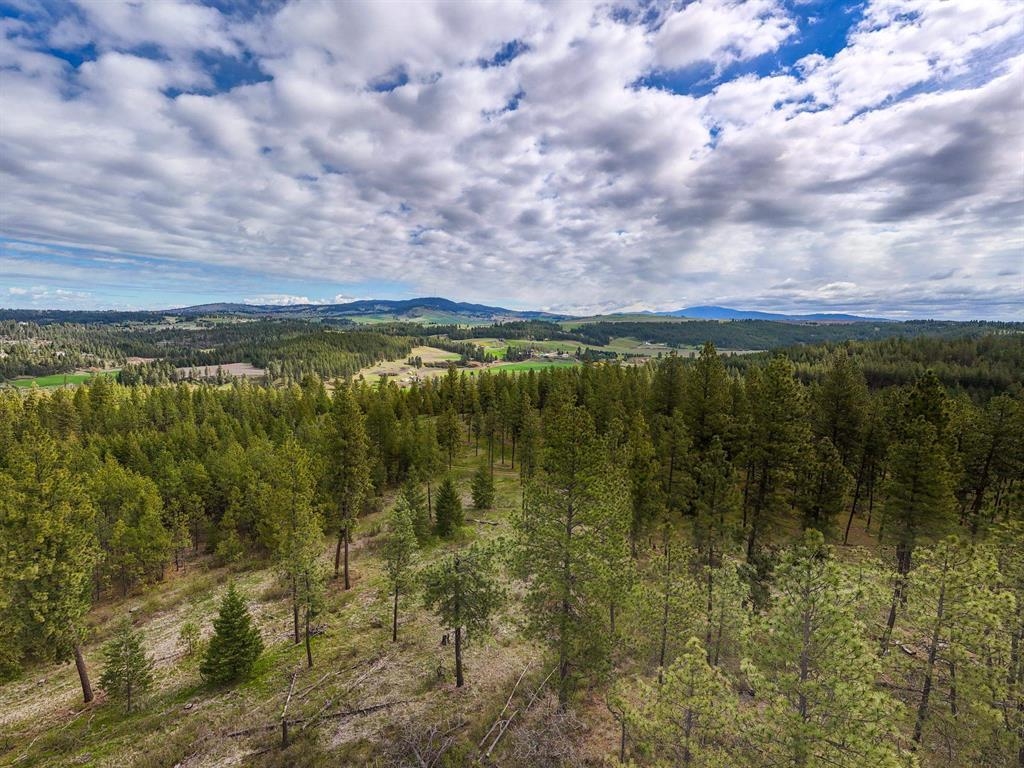 22-xx East Miller Road Spangle, WA 99031 - Photo 20 of 31