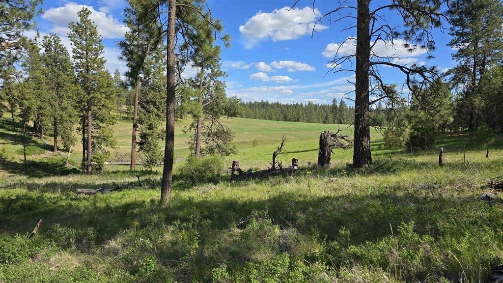 22-xx East Miller Road Spangle, WA 99031 - Photo 2 of 31
