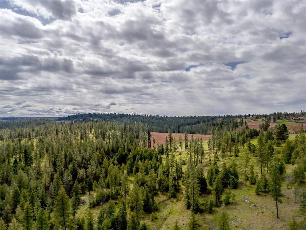 22-xx East Miller Road Spangle, WA 99031 - Photo 22 of 31