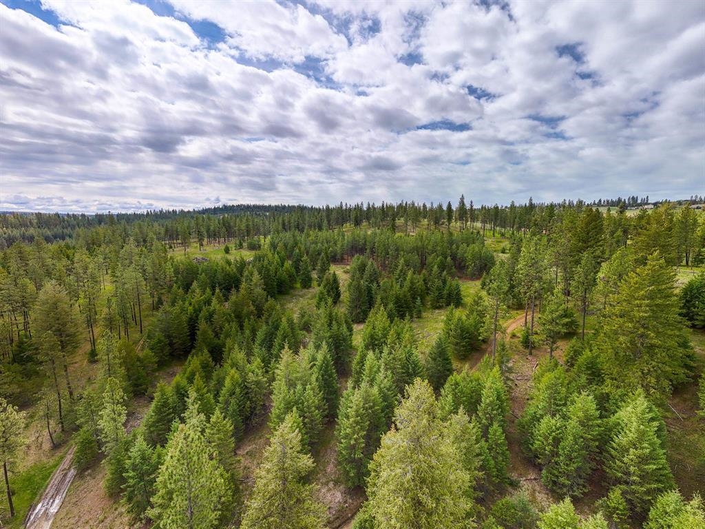 22-xx East Miller Road Spangle, WA 99031 - Photo 24 of 31