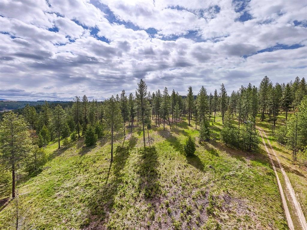 22-xx East Miller Road Spangle, WA 99031 - Photo 25 of 31