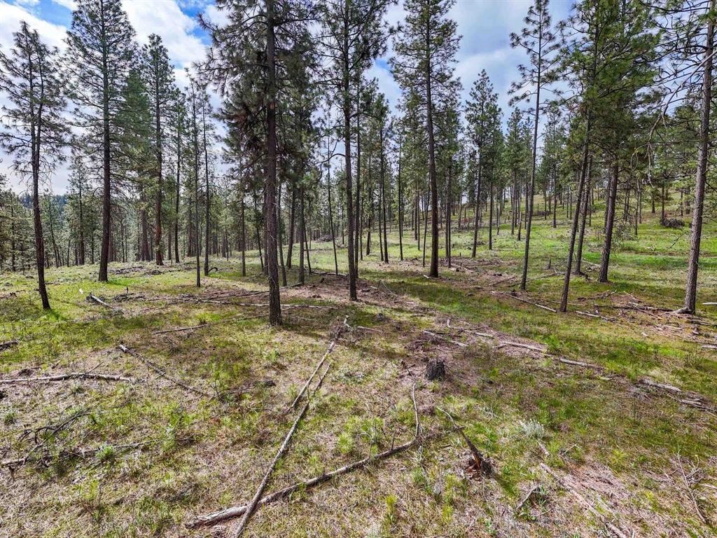 22-xx East Miller Road Spangle, WA 99031 - Photo 26 of 31