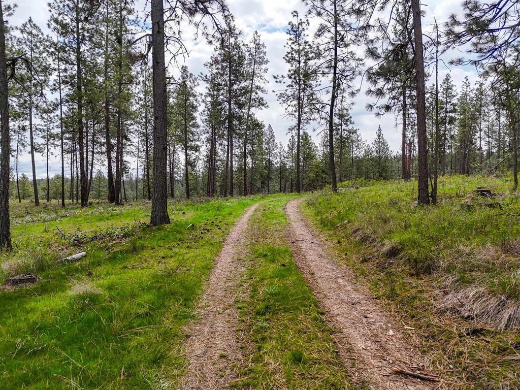 22-xx East Miller Road Spangle, WA 99031 - Photo 28 of 31