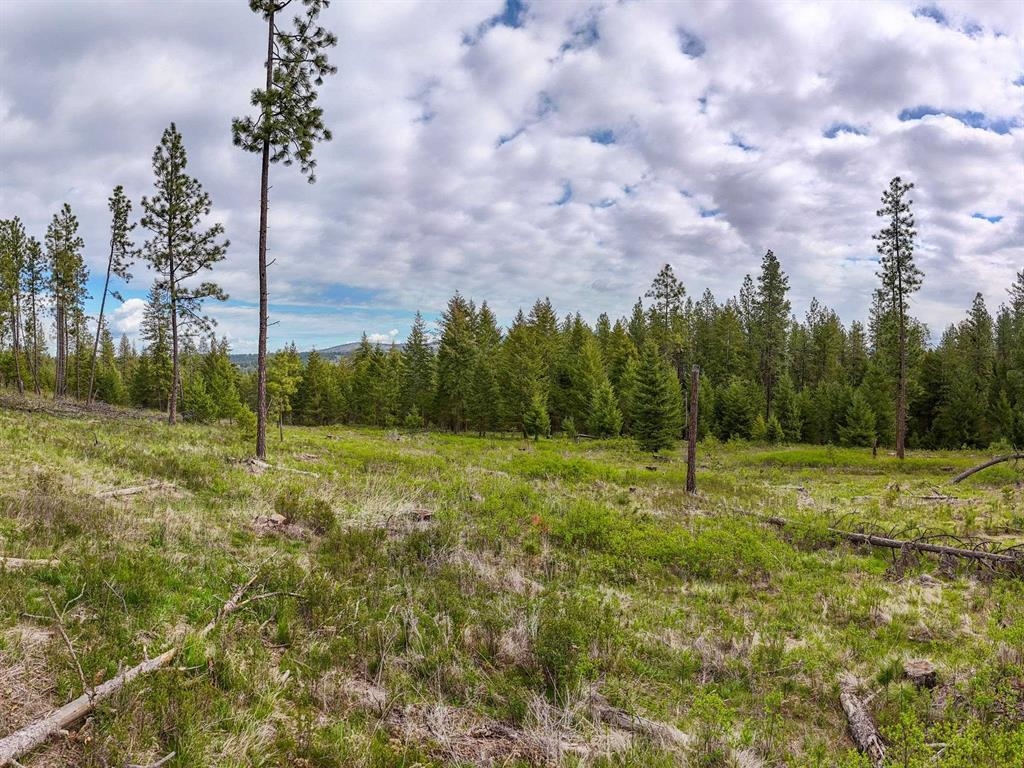 22-xx East Miller Road Spangle, WA 99031 - Photo 30 of 31