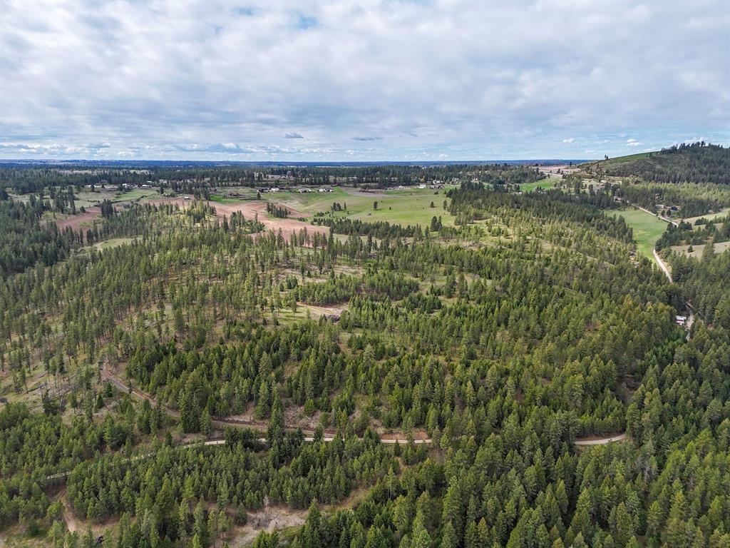 22-xx East Miller Road Spangle, WA 99031 - Photo 31 of 31