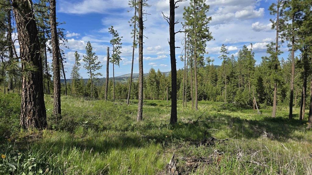 22-xx East Miller Road Spangle, WA 99031 - Photo 4 of 31