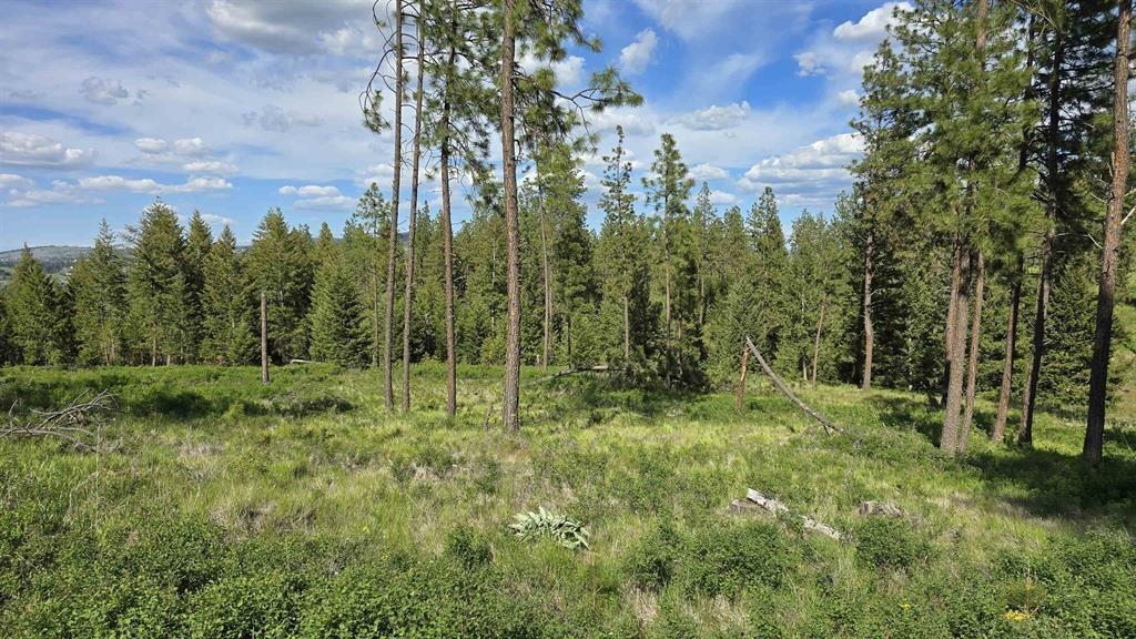 22-xx East Miller Road Spangle, WA 99031 - Photo 5 of 31