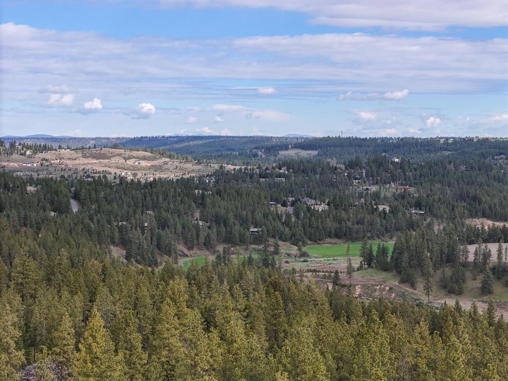 22-xx East Miller Road Spangle, WA 99031 - Photo 7 of 31