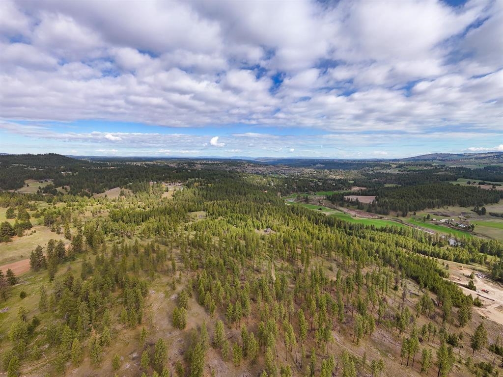 22-xx East Miller Road Spangle, WA 99031 - Photo 8 of 31