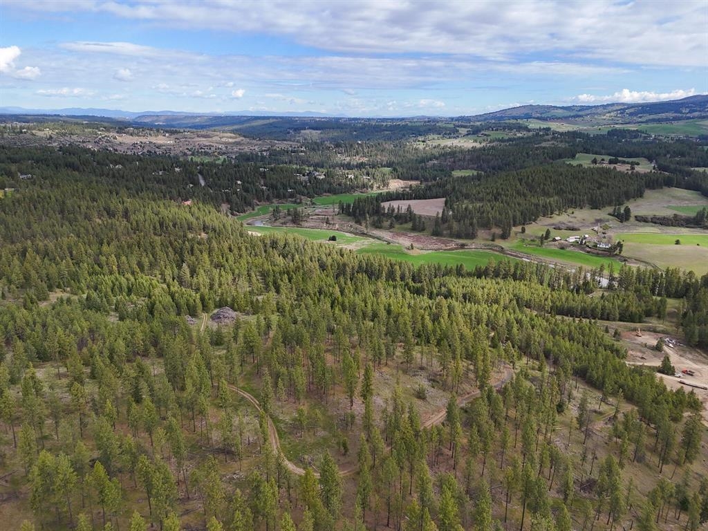 22-xx East Miller Road Spangle, WA 99031 - Photo 9 of 31