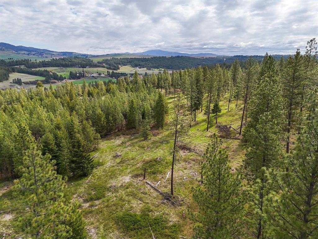 22-xx East Miller Road Spangle, WA 99031 - Photo 10 of 31