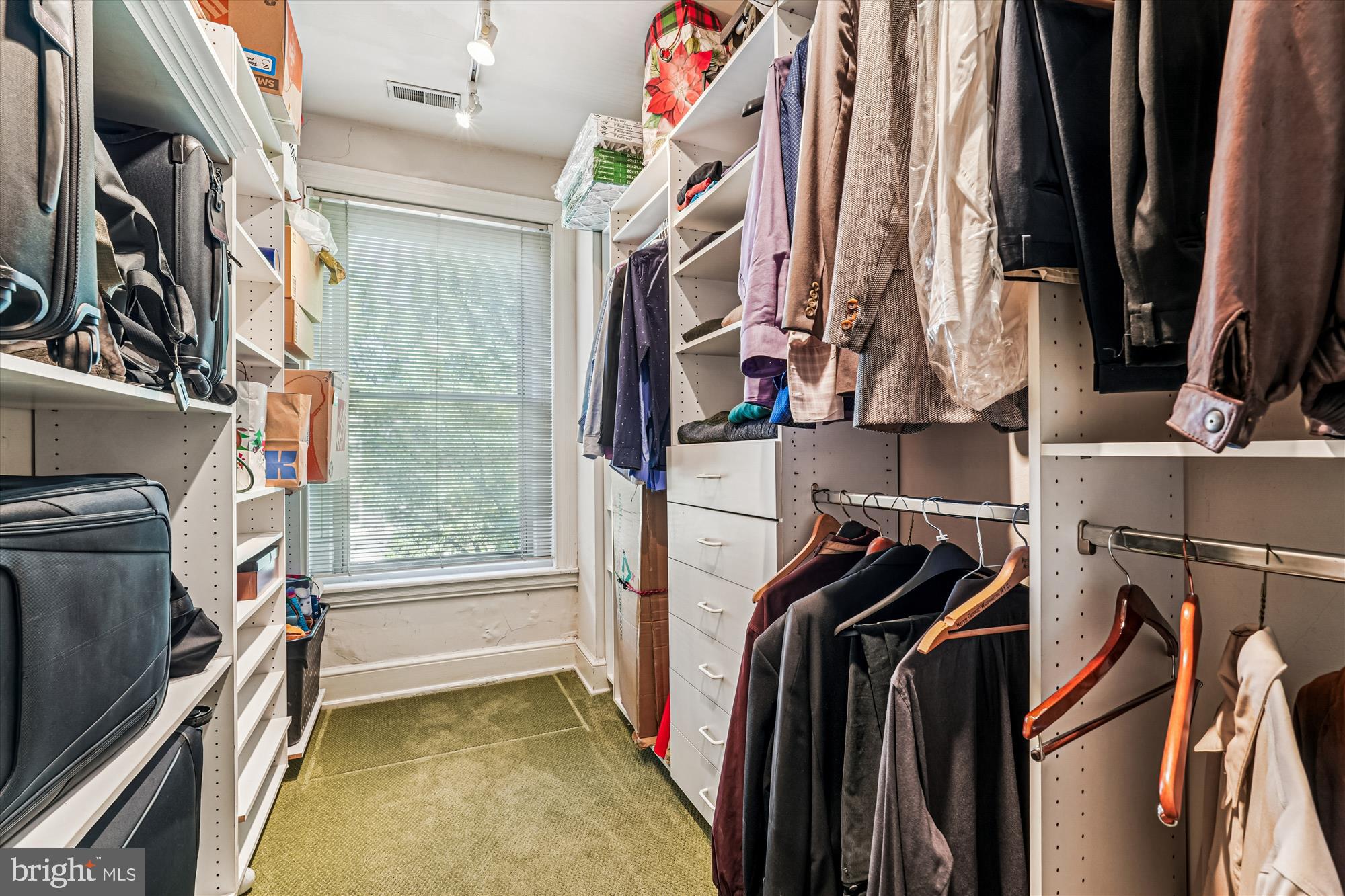 1420 Q Street Northwest Washington, DC 20009 - Photo 55 of 88 Trunk Room, custom designed w/ access to attic