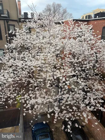 $2,695,000 | 1420 Q Street Northwest, Washington, DC 20009