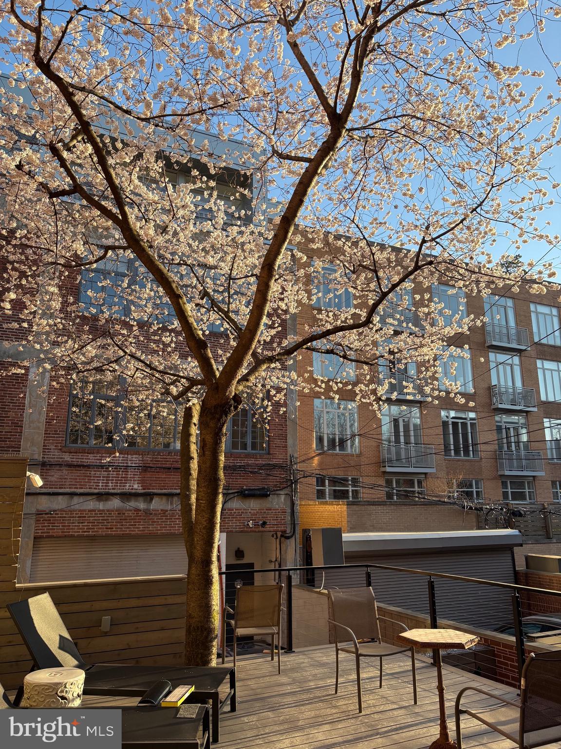 1420 Q Street Northwest Washington, DC 20009 - Photo 71 of 88 Spring time in DC is special at 1420 Q Street NW