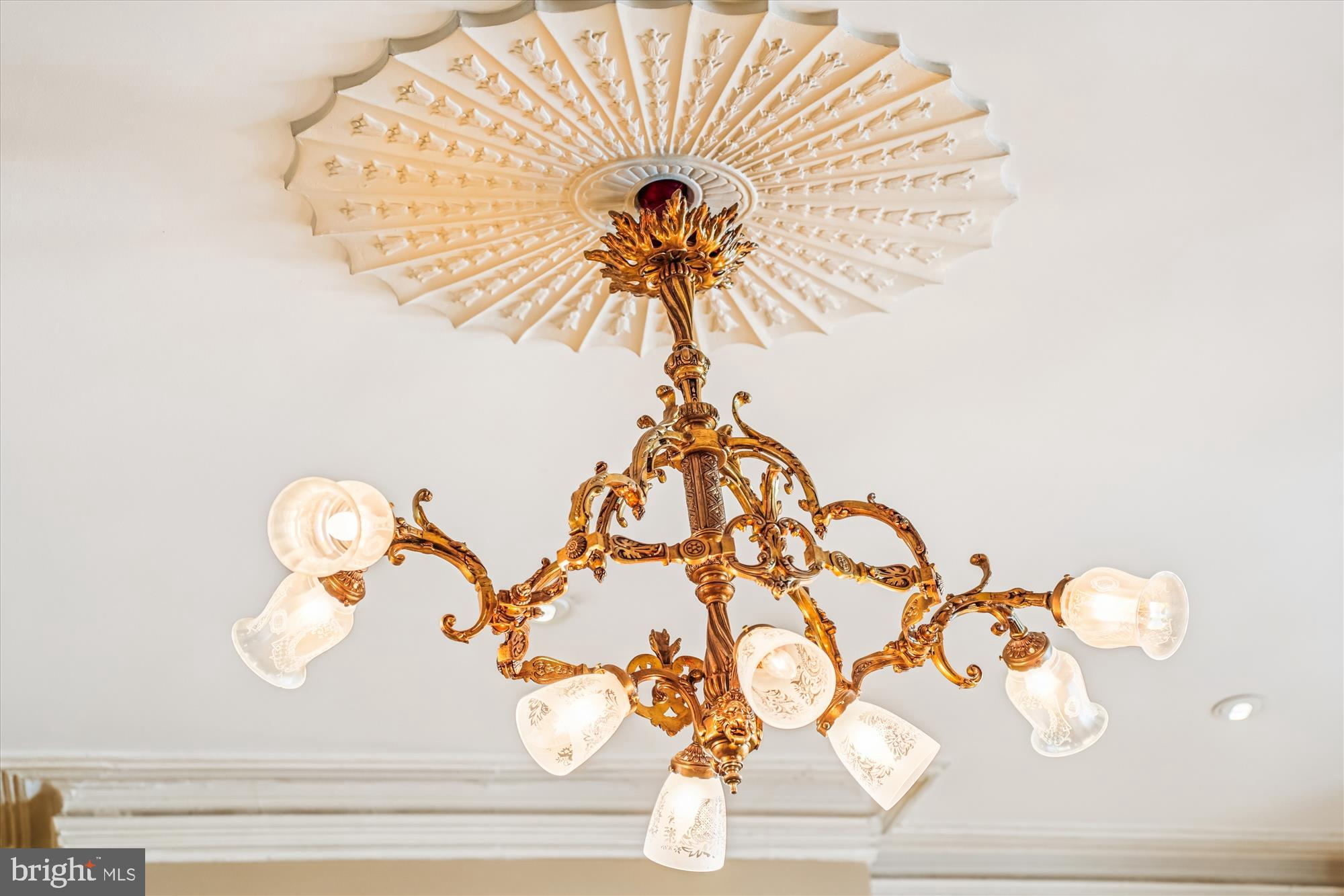 1420 Q Street Northwest Washington, DC 20009 - Photo 77 of 88 Elegant 8 arm bronze chandelier enhances the LR