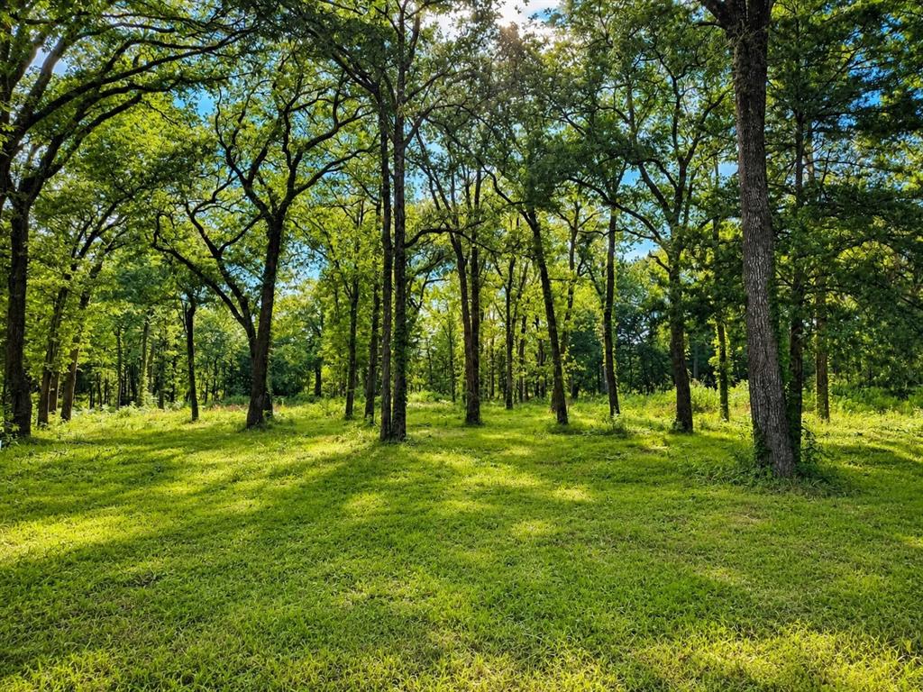 1503 County Road 1503 Point, TX 75472 - Photo 2 of 6 Tons of deer and critters litter the scenery