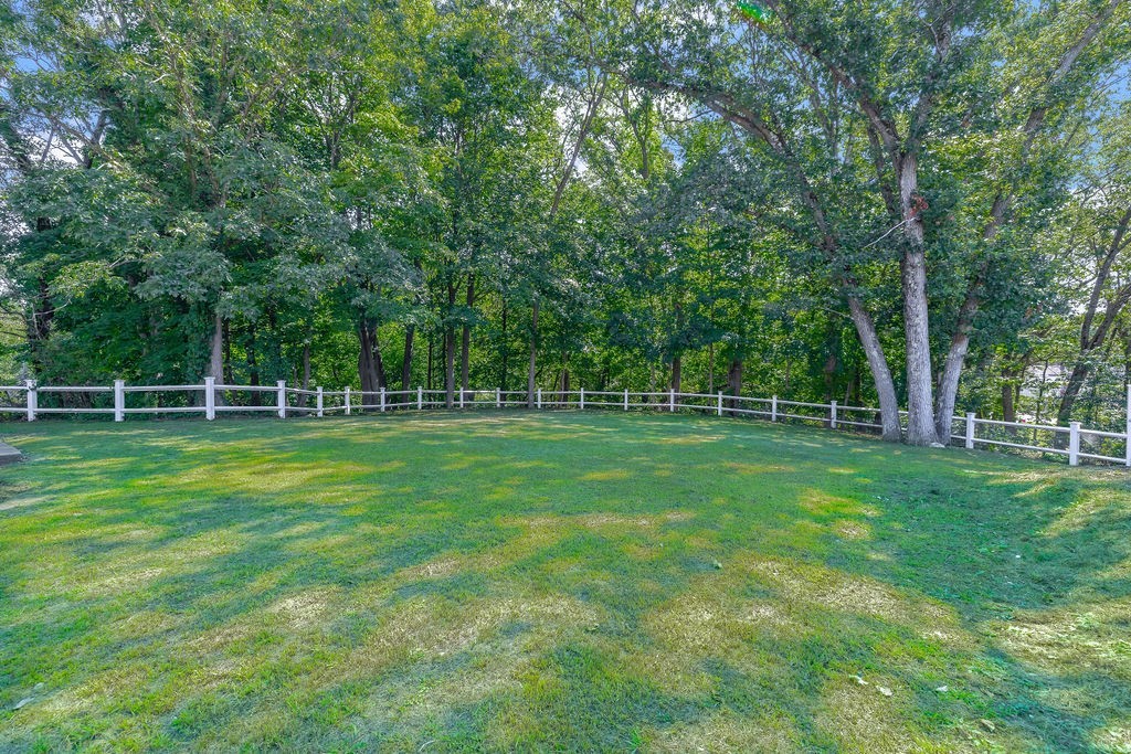 48 Taylor Street Needham, MA 02494 - Photo 23 of 25 a view of a park with a large trees