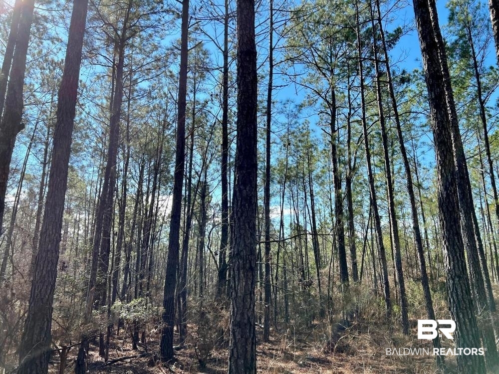 0 Country Road Deer Park, AL 36529 - Photo 7 of 46
