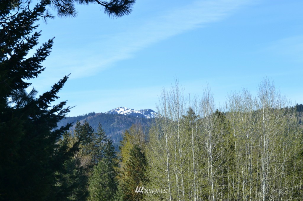 600 Nelson Siding Road Cle Elum, WA 98922 - Photo 4 of 24 Gallery Image 4