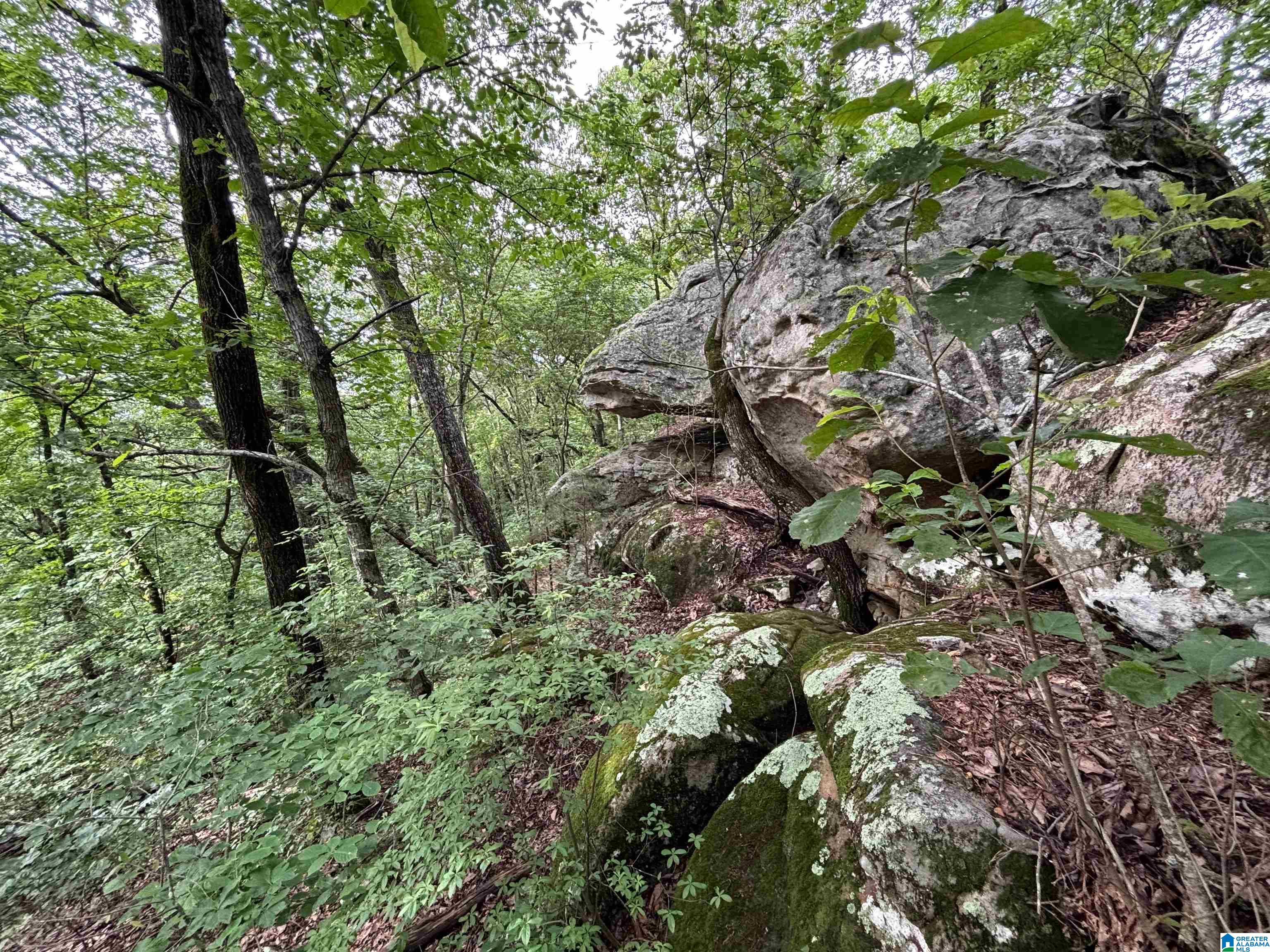 0 Bright Star Road, Unit 123 / ACRES Horton, AL 35980 - Photo 5 of 21