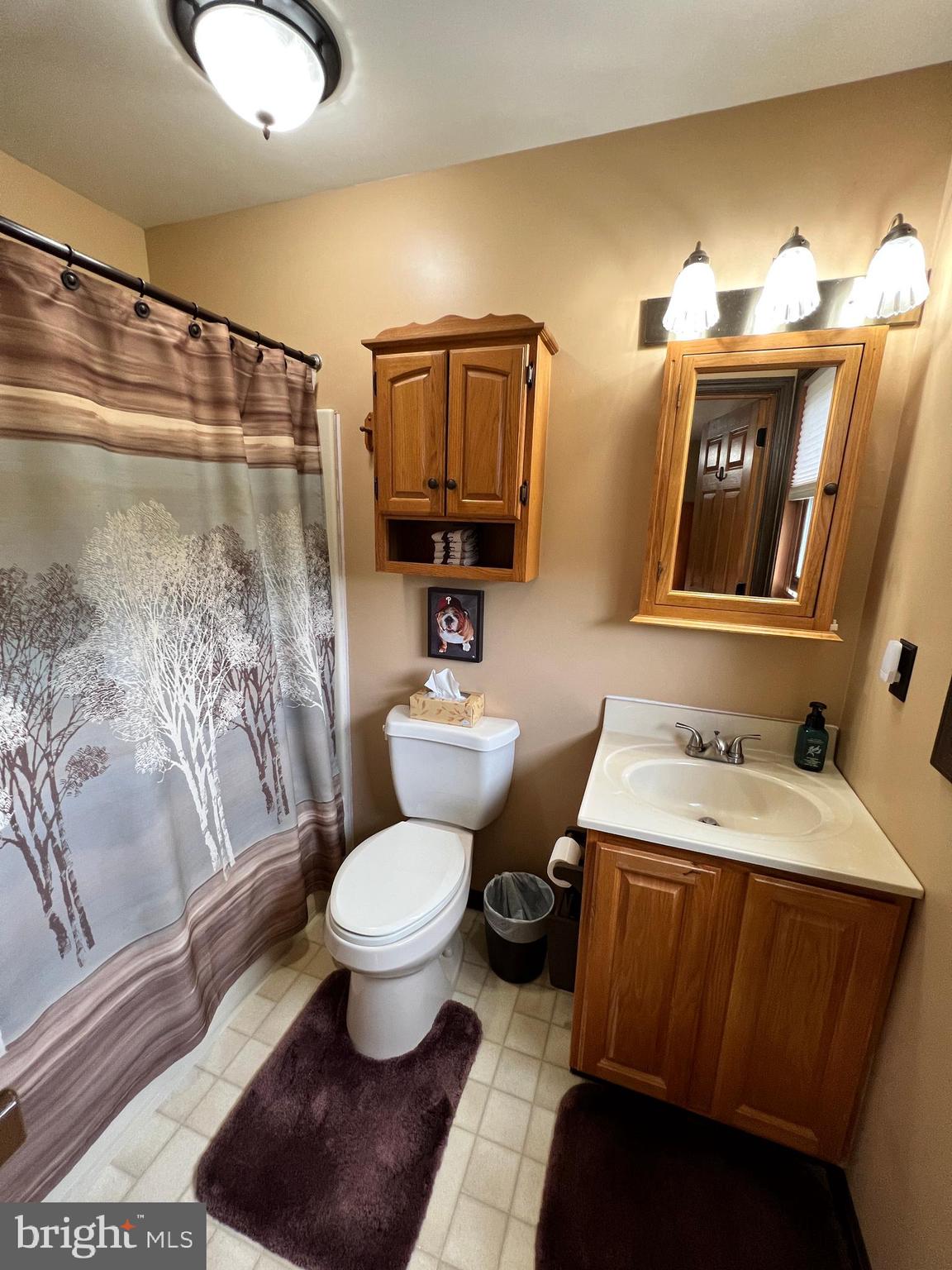 595 Zion Road Birdsboro, PA 19508 - Photo 33 of 65 Gallery Image 33