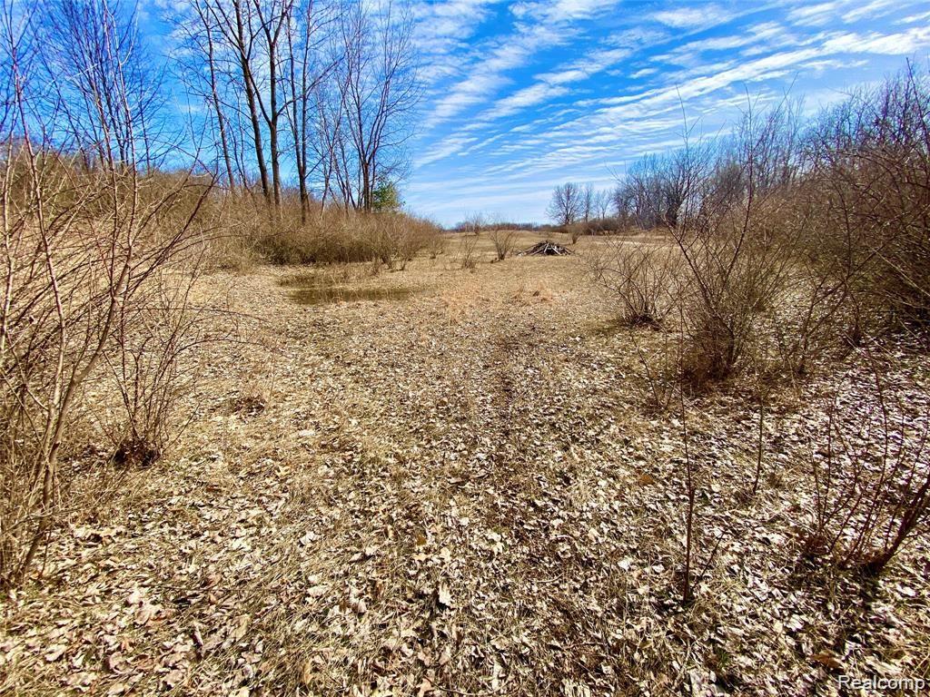0 Iosco Road Webberville, MI 48892 - Photo 5 of 24