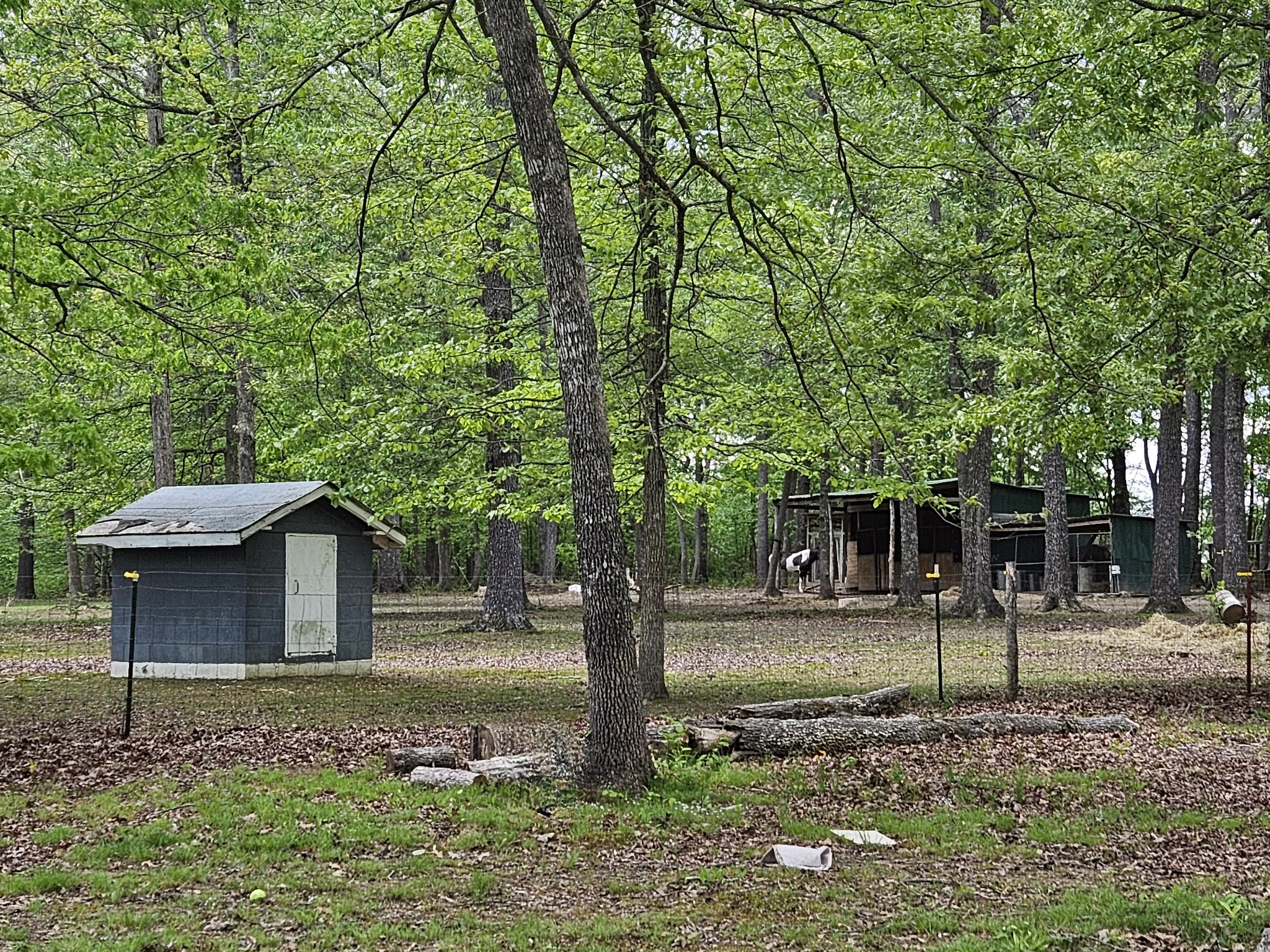 1883 Boynton Valley Road Manchester, TN 37355 - Photo 2 of 17 a backyard of a house with lots of green space