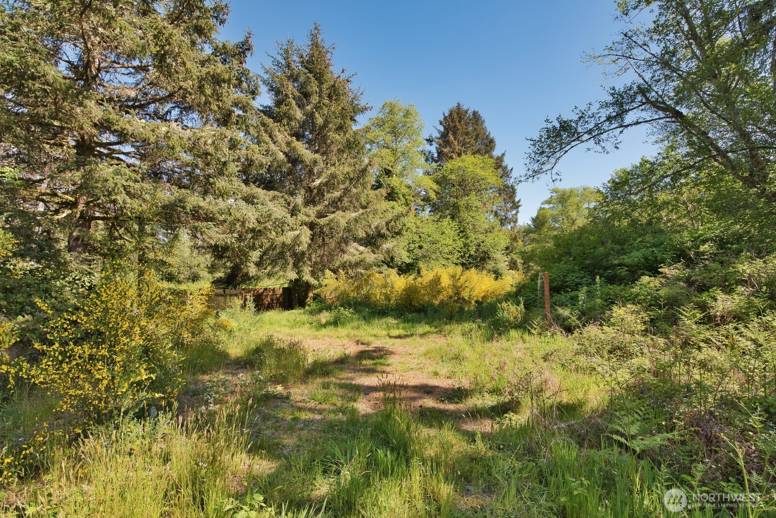 2461 Highway 109 Copalis Beach, WA 98535 - Photo 2 of 8
