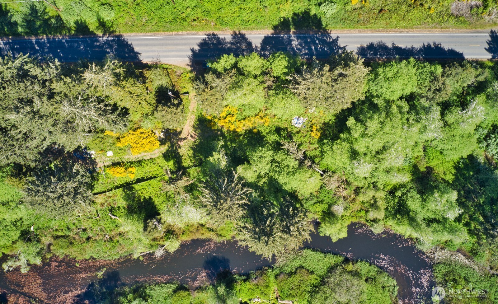 2461 Highway 109 Copalis Beach, WA 98535 - Photo 3 of 8