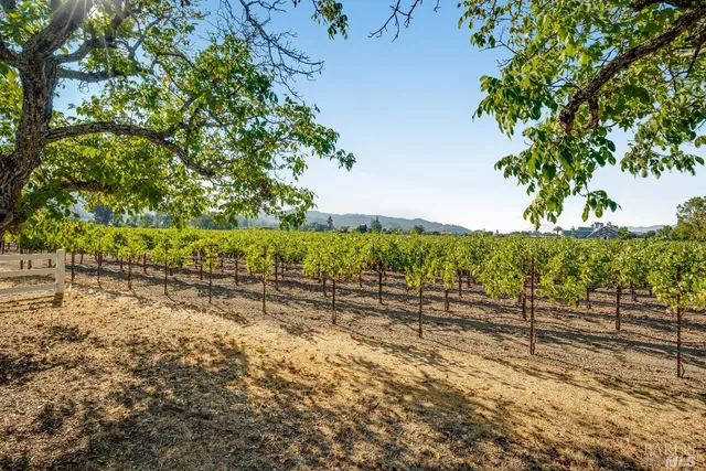 a view of a yard with wooden fence