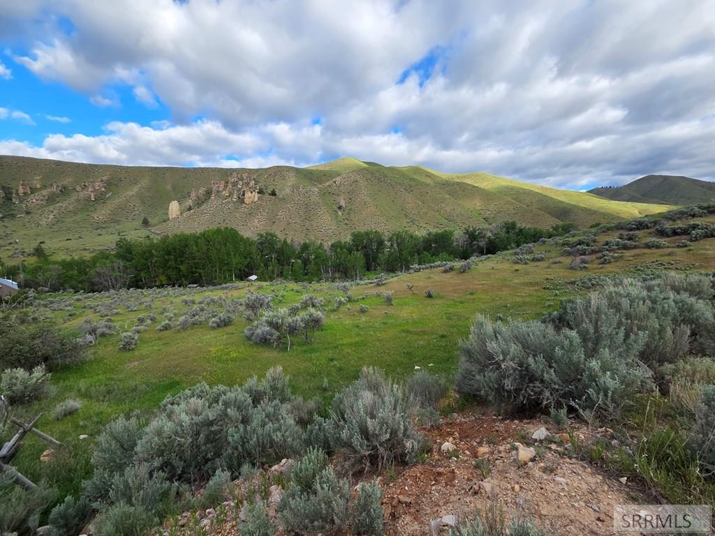 Nkn East Tower Creek Road Carmen, ID 83462 - Photo 2 of 63