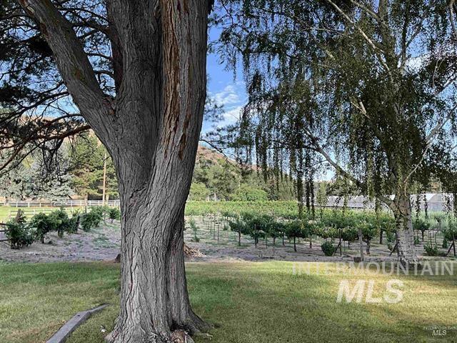 4778 River Road Buhl, ID 83316 - Photo 33 of 36
