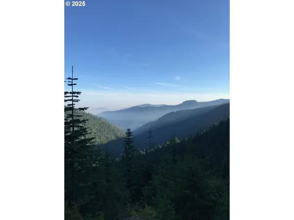 $330,000 | Champion Creek Road, Dorena, OR 97434