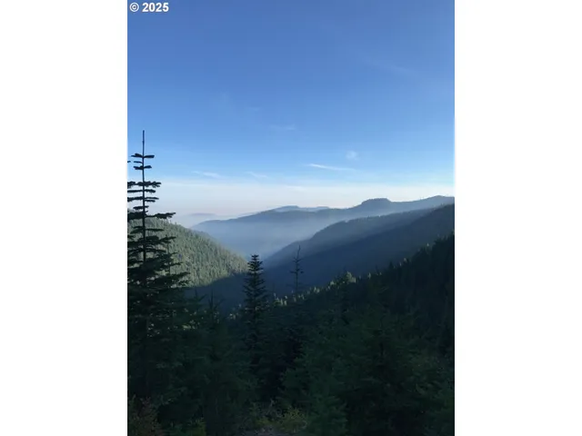 $330,000 | Champion Creek Road, Dorena, OR 97434