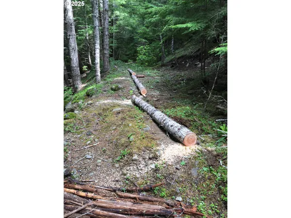 $330,000 | Champion Creek Road, Dorena, OR 97434