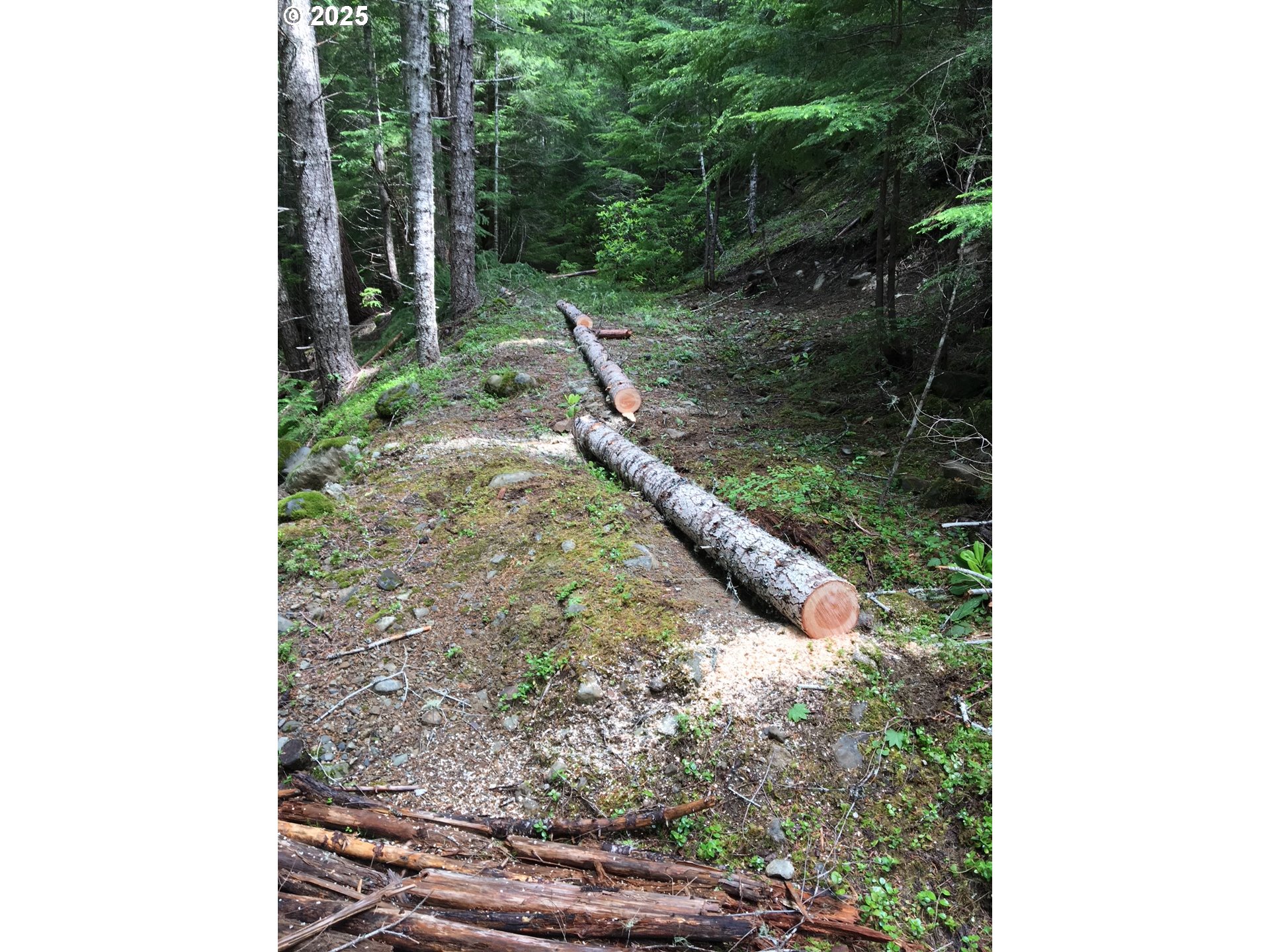 Champion Creek Road Dorena, OR 97434 - Photo 11 of 27